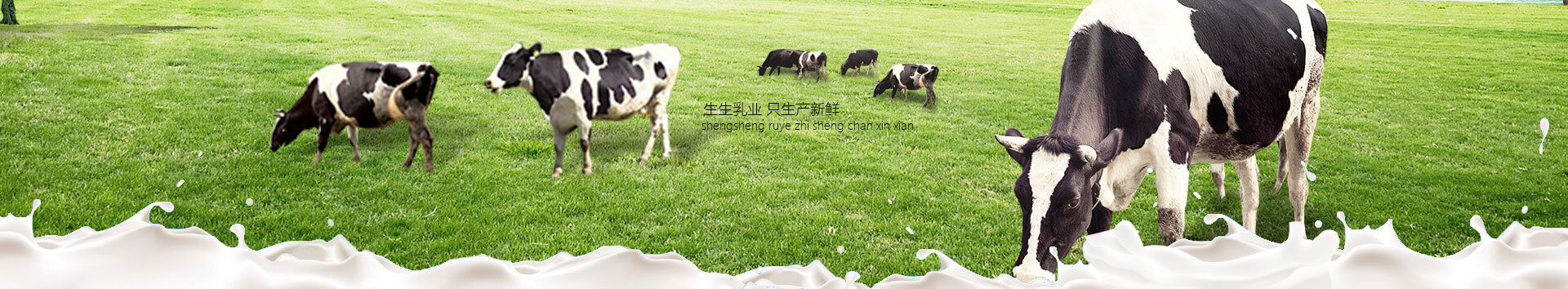 洛陽訂奶_酸奶代理_酸奶招商_牛奶品牌-生生乳業(yè)