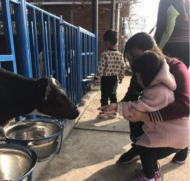 1509010455893460.png blob.png